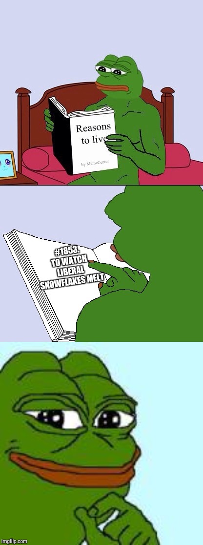 #1853. TO WATCH LIBERAL SNOWFLAKES MELT | image tagged in blank pepe reasons to live | made w/ Imgflip meme maker