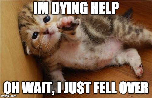 Help Me Kitten | IM DYING HELP; OH WAIT, I JUST FELL OVER | image tagged in help me kitten | made w/ Imgflip meme maker