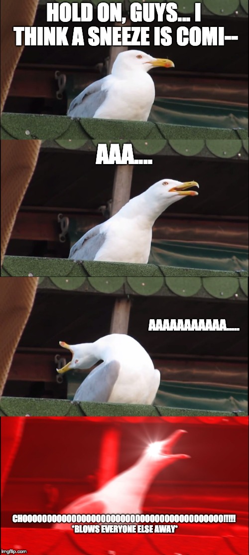 Sneezing Seagull
 | HOLD ON, GUYS... I THINK A SNEEZE IS COMI--; AAA.... AAAAAAAAAAA..... CHOOOOOOOOOOOOOOOOOOOOOOOOOOOOOOOOOOOOOOOOO!!!!! *BLOWS EVERYONE ELSE AWAY* | image tagged in memes,inhaling seagull,achoo,seagull,breath,aaa | made w/ Imgflip meme maker