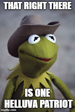 Texas Kermit | THAT RIGHT THERE IS ONE HELLUVA PATRIOT | image tagged in texas kermit | made w/ Imgflip meme maker