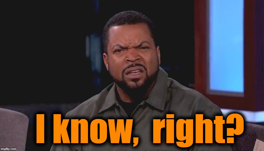Really? Ice Cube | I know,  right? | image tagged in really ice cube | made w/ Imgflip meme maker