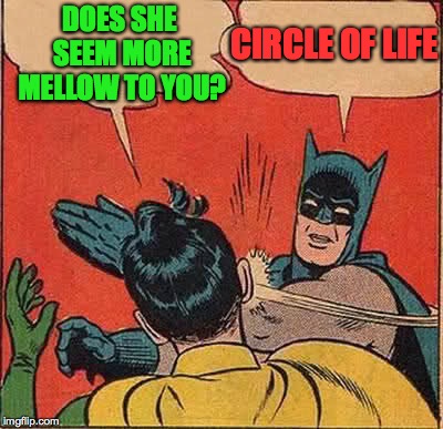 Batman Slapping Robin Meme | DOES SHE SEEM MORE MELLOW TO YOU? CIRCLE OF LIFE | image tagged in memes,batman slapping robin | made w/ Imgflip meme maker