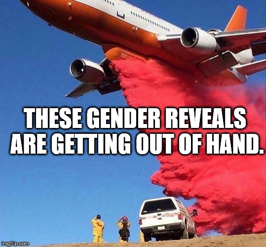 THESE GENDER REVEALS ARE GETTING OUT OF HAND. | image tagged in gender reveal | made w/ Imgflip meme maker