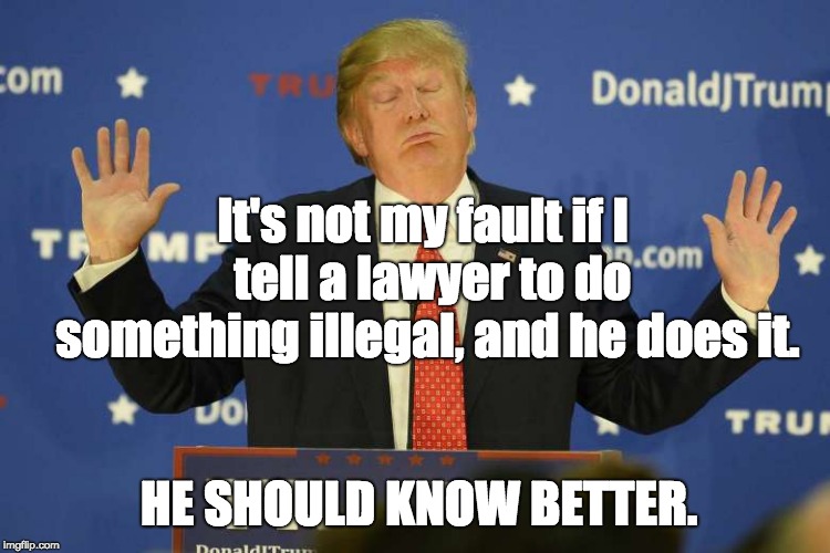 Hush | It's not my fault if I  tell a lawyer to do something illegal, and he does it. HE SHOULD KNOW BETTER. | image tagged in donald trump,michael cohen,stormy daniels,karen mcdougal,hush money | made w/ Imgflip meme maker