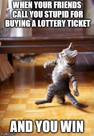 Cool Cat Stroll Meme | WHEN YOUR FRIENDS CALL YOU STUPID FOR BUYING A LOTTERY TICKET; AND YOU WIN | image tagged in memes,cool cat stroll | made w/ Imgflip meme maker