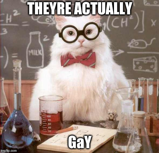 cat scientist | THEYRE ACTUALLY GaY | image tagged in cat scientist | made w/ Imgflip meme maker