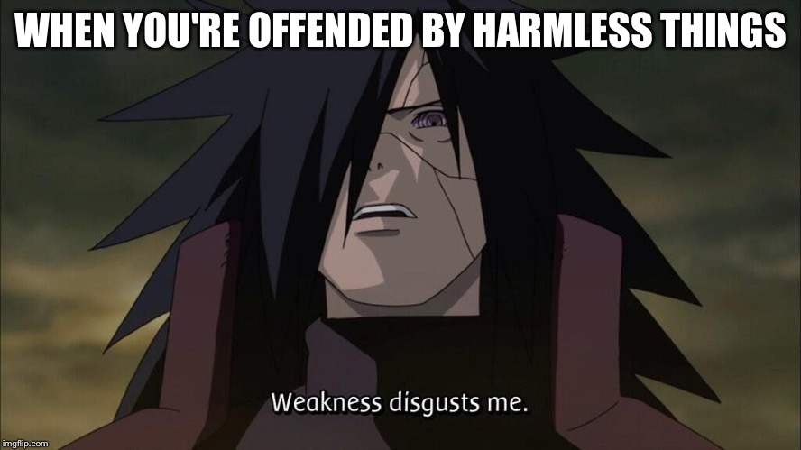 Weakness disgusts me | WHEN YOU'RE OFFENDED BY HARMLESS THINGS | image tagged in weakness disgusts me | made w/ Imgflip meme maker