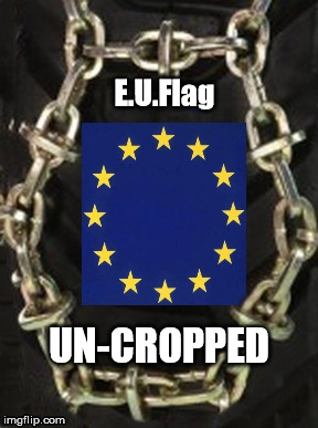 EU Flag un-cropped | E.U.Flag; UN-CROPPED | image tagged in europe,chain | made w/ Imgflip meme maker