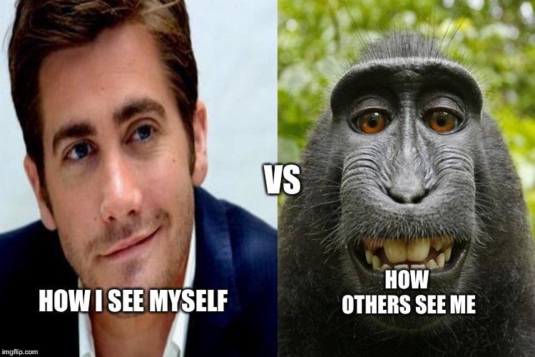VS; HOW OTHERS SEE ME; HOW I SEE MYSELF | image tagged in funny,funny memes,featured,i suck at memes | made w/ Imgflip meme maker