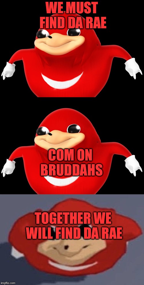 WE MUST FIND DA RAE COM ON BRUDDAHS TOGETHER WE WILL FIND DA RAE | image tagged in do you know de wae | made w/ Imgflip meme maker