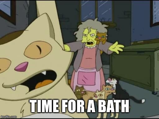 CRAZY CAT LADY | TIME FOR A BATH | image tagged in crazy cat lady | made w/ Imgflip meme maker