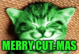 happy RayCat | MERRY CUT-MAS | image tagged in happy raycat | made w/ Imgflip meme maker