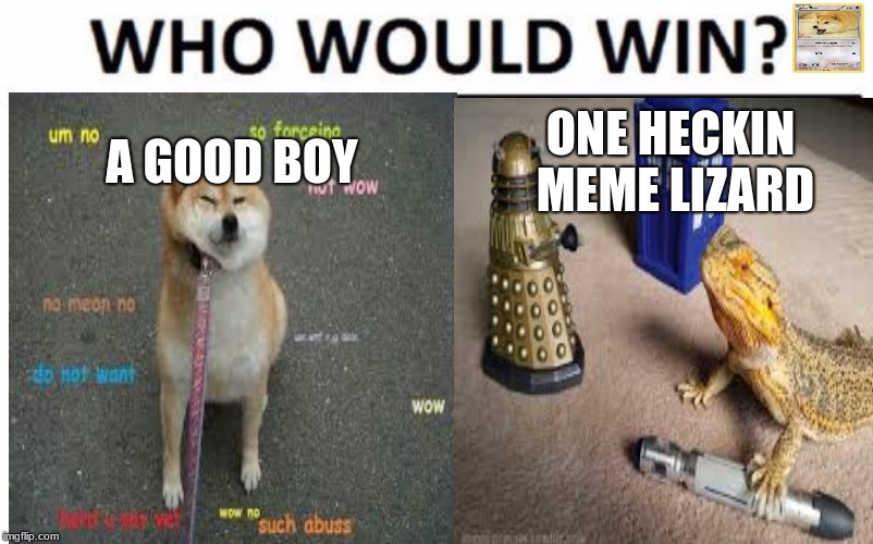 which meme better? | ONE HECKIN MEME LIZARD; A GOOD BOY | image tagged in doge,bearded dragon,doctor who,darleck,tardis,sonic screw driver | made w/ Imgflip meme maker