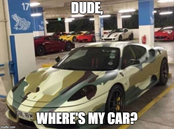 Camouflage | DUDE, WHERE'S MY CAR? | image tagged in cars | made w/ Imgflip meme maker