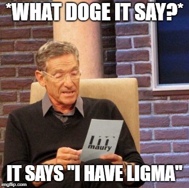 Maury Lie Detector Meme | *WHAT DOGE IT SAY?*; IT SAYS "I HAVE LIGMA" | image tagged in memes,maury lie detector | made w/ Imgflip meme maker