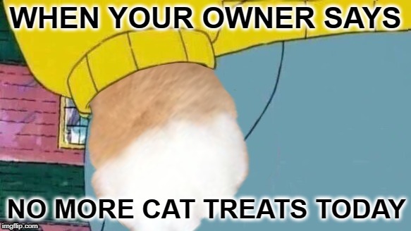 K.O. Cat | WHEN YOUR OWNER SAYS; NO MORE CAT TREATS TODAY | image tagged in funny memes,cat memes,cat,arthur fist,angry,cats | made w/ Imgflip meme maker