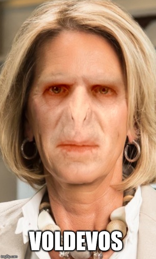 VolDeVos | VOLDEVOS | image tagged in funny,face swap,betsy devos,voldemort,current events | made w/ Imgflip meme maker