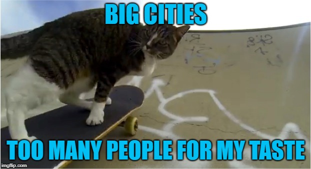 BIG CITIES TOO MANY PEOPLE FOR MY TASTE | made w/ Imgflip meme maker