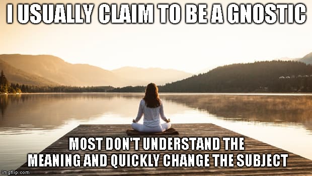 I USUALLY CLAIM TO BE A GNOSTIC MOST DON'T UNDERSTAND THE MEANING AND QUICKLY CHANGE THE SUBJECT | made w/ Imgflip meme maker