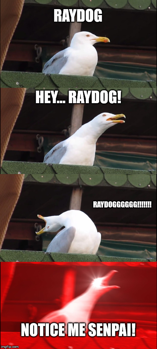 Inhaling Seagull |  RAYDOG; HEY... RAYDOG! RAYDOGGGGGG!!!!!!! NOTICE ME SENPAI! | image tagged in memes,inhaling seagull | made w/ Imgflip meme maker