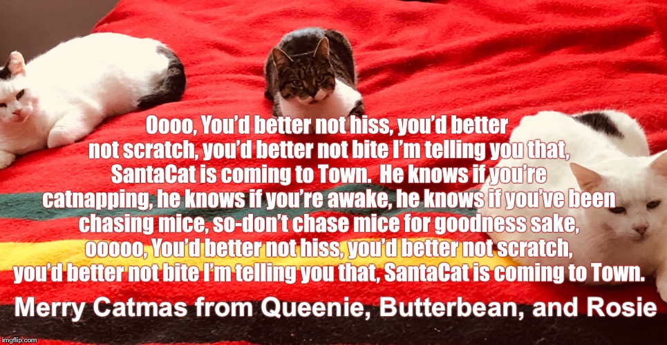 Oooo, You’d better not hiss, you’d better not scratch, you’d better not bite I’m telling you that, SantaCat is coming to Town.  He knows if you’re catnapping, he knows if you’re awake, he knows if you’ve been chasing mice, so-don’t chase mice for goodness sake, ooooo, You’d better not hiss, you’d better not scratch, you’d better not bite I’m telling you that, SantaCat is coming to Town. Merry Catmas from Queenie, Butterbean, and Rosie | image tagged in santacat is coming to town | made w/ Imgflip meme maker