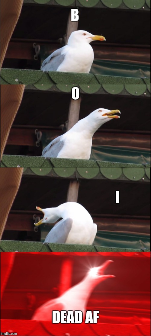 Inhaling Seagull | B; O; I; DEAD AF | image tagged in memes,inhaling seagull | made w/ Imgflip meme maker