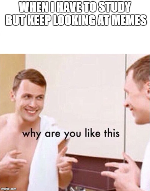 why are you like this | WHEN I HAVE TO STUDY BUT KEEP LOOKING AT MEMES | image tagged in why are you like this | made w/ Imgflip meme maker