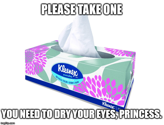 PLEASE TAKE ONE; YOU NEED TO DRY YOUR EYES, PRINCESS. | made w/ Imgflip meme maker