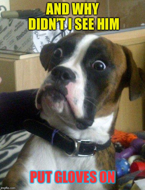 Blankie the Shocked Dog | AND WHY DIDN’T I SEE HIM PUT GLOVES ON | image tagged in blankie the shocked dog | made w/ Imgflip meme maker