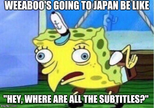 Mocking Spongebob Meme | WEEABOO'S GOING TO JAPAN BE LIKE; "HEY, WHERE ARE ALL THE SUBTITLES?" | image tagged in memes,mocking spongebob | made w/ Imgflip meme maker