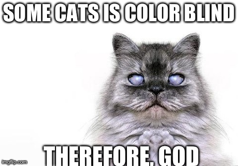 SOME CATS IS COLOR BLIND THEREFORE, GOD | image tagged in iaisha | made w/ Imgflip meme maker