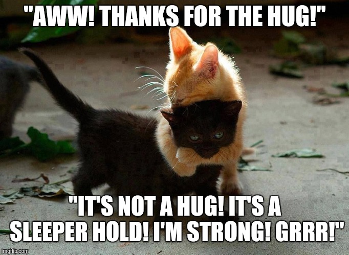 kitten hug | "AWW! THANKS FOR THE HUG!"; "IT'S NOT A HUG! IT'S A SLEEPER HOLD! I'M STRONG! GRRR!" | image tagged in kitten hug | made w/ Imgflip meme maker