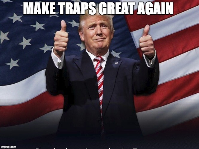 Donald Trump Thumbs Up | MAKE TRAPS GREAT AGAIN | image tagged in donald trump thumbs up | made w/ Imgflip meme maker