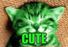 happy RayCat | CUTE | image tagged in happy raycat | made w/ Imgflip meme maker