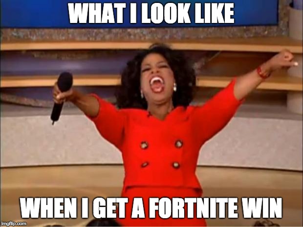 Oprah You Get A | WHAT I LOOK LIKE; WHEN I GET A FORTNITE WIN | image tagged in memes,oprah you get a | made w/ Imgflip meme maker