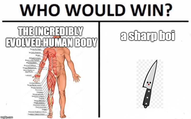 human vs sharp boi | a sharp boi; THE INCREDIBLY EVOLVED HUMAN BODY | image tagged in memes,who would win | made w/ Imgflip meme maker