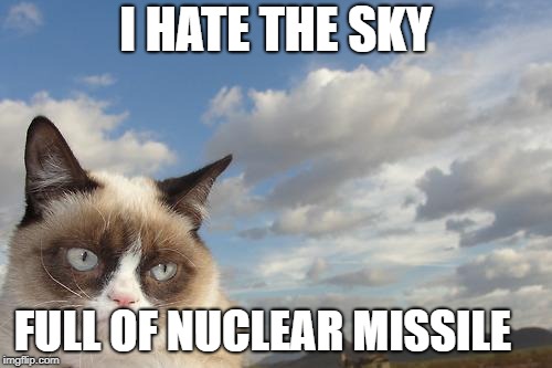 Grumpy Cat Sky | I HATE THE SKY; FULL OF NUCLEAR MISSILE | image tagged in memes,grumpy cat sky,grumpy cat | made w/ Imgflip meme maker