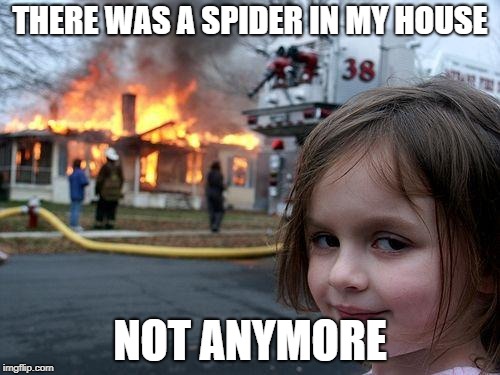 Disaster Girl Meme | THERE WAS A SPIDER IN MY HOUSE; NOT ANYMORE | image tagged in memes,disaster girl | made w/ Imgflip meme maker