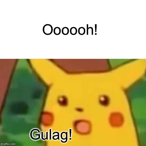 Surprised Pikachu Meme | Oooooh! Gulag! | image tagged in memes,surprised pikachu | made w/ Imgflip meme maker