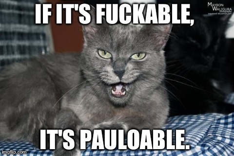 IF IT'S F**KABLE,  IT'S PAULOABLE. | image tagged in paulo | made w/ Imgflip meme maker