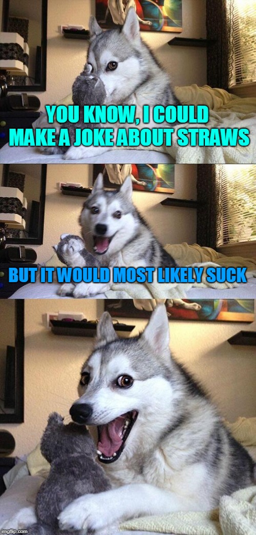 Bad Pun Dog | YOU KNOW, I COULD MAKE A JOKE ABOUT STRAWS; BUT IT WOULD MOST LIKELY SUCK | image tagged in memes,bad pun dog | made w/ Imgflip meme maker