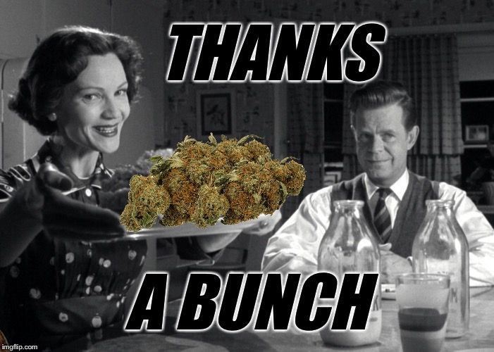 image tagged in scumbag | made w/ Imgflip meme maker