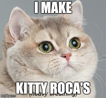 Heavy Breathing Cat Meme | I MAKE; KITTY ROCA'S | image tagged in memes,heavy breathing cat | made w/ Imgflip meme maker