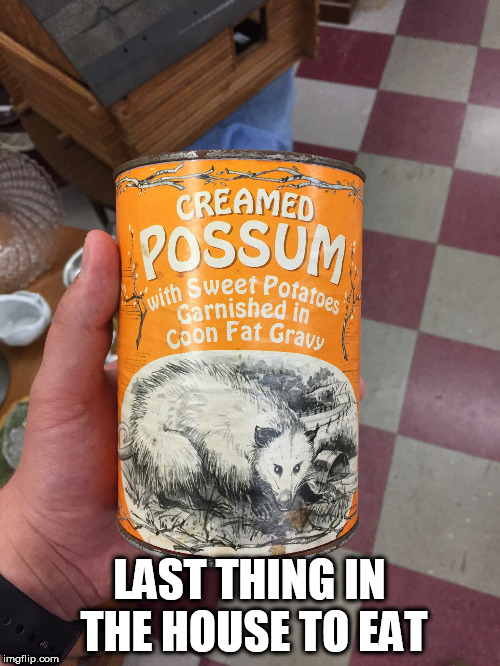 LAST THING IN THE HOUSE TO EAT | image tagged in funny food | made w/ Imgflip meme maker