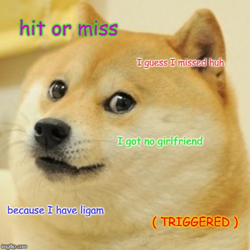 Doge Meme | hit or miss; I guess I missed huh; I got no girlfriend; because I have ligam; ( TRIGGERED ) | image tagged in memes,doge | made w/ Imgflip meme maker