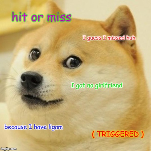 Doge | hit or miss; I guess I missed huh; I got no girlfriend; because I have ligam; ( TRIGGERED ) | image tagged in memes,doge | made w/ Imgflip meme maker