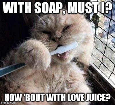 WITH SOAP, MUST I? HOW 'BOUT WITH LOVE JUICE? | image tagged in dirty | made w/ Imgflip meme maker