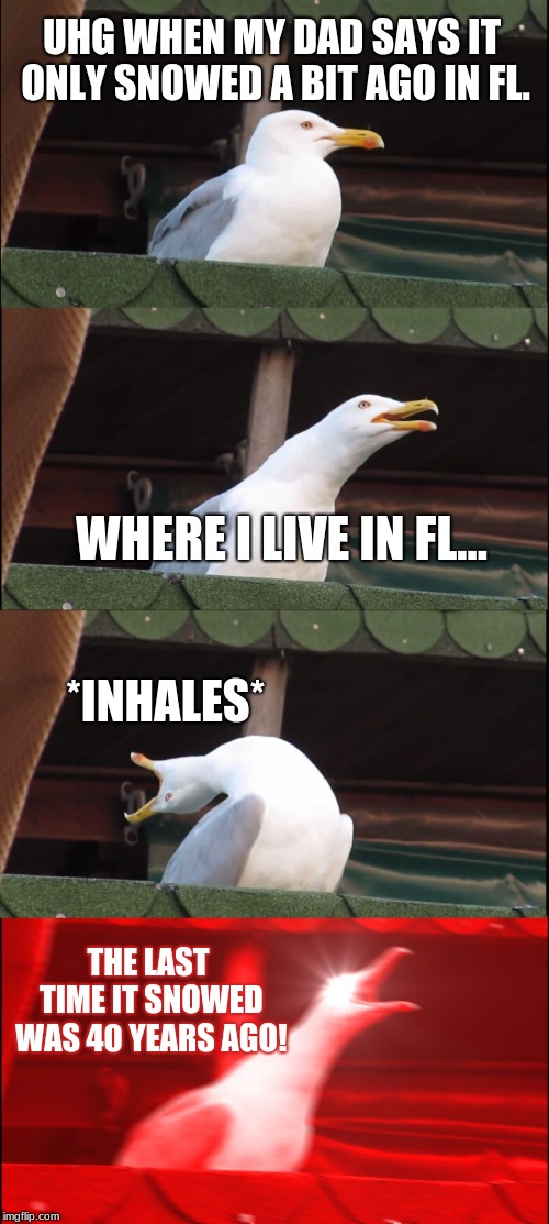Inhaling Seagull | UHG WHEN MY DAD SAYS IT ONLY SNOWED A BIT AGO IN FL. WHERE I LIVE IN FL... *INHALES*; THE LAST TIME IT SNOWED WAS 40 YEARS AGO! | image tagged in memes,inhaling seagull | made w/ Imgflip meme maker
