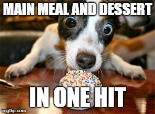 dog eating cake | MAIN MEAL AND DESSERT IN ONE HIT | image tagged in dog eating cake | made w/ Imgflip meme maker