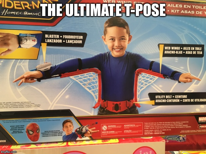 The T-pose to end them all | THE ULTIMATE T-POSE | image tagged in stupid | made w/ Imgflip meme maker